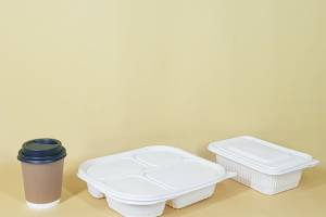Keunggulan dan Kelemahan Produk Rumah Tangga Berbahan Plastik